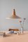 Eikon Shell Pendant Lamp in Wheat and Ash from Schneid Studio 2