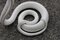 Italian White Ceramic Sculpture Snake by Tommaso Barbi, 1970 6