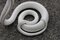 Italian White Ceramic Sculpture Snake by Tommaso Barbi, 1970, Image 6