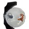 Lampada da soffitto Mid-Century di Techo, Immagine 17