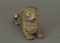 León de bronce del siglo XIX, Imagen 8