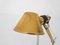 Tolomeo Gold Desk Light by Giancarlo Fassina and Michele De Lucchi for Artemide, Italy, 2000s 6
