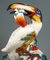 Large Meissen Toucan with Fruit in Beak Figure by Paul Walther, 20th Century, Image 6