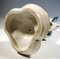 Grand Toucan Meissen avec Figurine Fruit en Bec par Paul Walther, 20ème Siècle 9