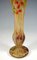Große Jugendstil Cameo Vase mit Hagebutten Dekor von Daum Nancy, Frankreich, 1910er 8