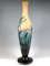 Large Art Nouveau Iris and Lily Pond Cameo Vase from Emile Gallé, France, 1906s, Image 4