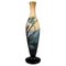 Large Art Nouveau Iris and Lily Pond Cameo Vase from Emile Gallé, France, 1906s, Image 1