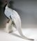 Large Porcelain Animal Figure Silver Pheasant from Rosenthal Selb Germany, 1923, Image 4