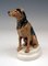 Figura Terrier atribuida a Paul Walther para Meissen, 1935, Imagen 4