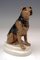 Figurine Terrier attribuée à Paul Walther pour Meissen, 1935, 2
