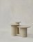 Raindrop Side Table Set in Ash and Ash by Fred Rigby Studio, Set of 3 1