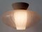 Mid-Century Modern Ceiling Lamp from Aloys Ferdinand Gangkofner, 1950s, Image 10