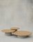 Tavolini da caffè Raindrop in quercia e grigio ghiaia di Fred Rigby Studio, set di 3, Immagine 1