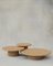 Raindrop Coffee Table Set in Oak and Oak by Fred Rigby Studio, Set of 3 1