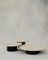 Raindrop Coffee Table Set in Ash and Patinated by Fred Rigby Studio, Set of 3, Image 1