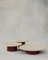 Raindrop Coffee Table Set in Ash and Terracotta by Fred Rigby Studio, Set of 3 1
