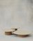 Raindrop Couchtisch Set aus Esche & Eiche von Fred Rigby Studio, 3er Set 1