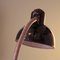 Vintage Desk Clamp Lamp with Swan Neck by Christian Dell for Kaiser Idell 5