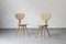 Chairs by Cees Braakman for Pastoe, 1950s, Set of 2 1