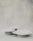 Raindrop Couchtisch Set aus Weißer Eiche & Kieselgrau von Fred Rigby Studio, 3er Set 1