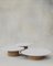 Juego de mesa de centro Raindrop de roble blanco y roble de Fred Rigby Studio. Juego de 3, Imagen 1