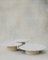 Juego de mesa de centro Raindrop de roble blanco y fresno de Fred Rigby Studio. Juego de 3, Imagen 1