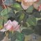 Alexandre Debrus, Still Life with Roses, 1880, Oil on Canvas, Framed 4