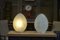 Glass and Metal Egg Table Lamp, 1970s 10