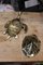 Caja italiana para esculturas de tortuga de latón macizo, años 50, Imagen 11
