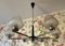 Mid-Century Ceiling Lamp in Metal, 1950s 6