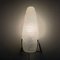 Nx18 E/00 Wandlampe aus satiniertem Glas von Philips, 1958 3
