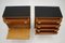 Chests of Drawers by Frantisek Mezulanik, Former Czechoslovakia, 1960s, Set of 2 9