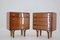 Chests of Drawers by Frantisek Mezulanik, Former Czechoslovakia, 1960s, Set of 2 7
