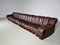 Ds-600 ‘Snake Sofa in Original Leather by de Sede Switzerland, 1970s 8