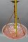 French Light Pink Frosted Glass Pendant Light with Bird Motifs, 1930s 12