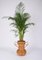 Bamboo and Rattan Vase by Vivai del Sud, Italy, 1970s, Image 2