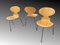 Danish Chairs by Arne Jacobsen for Fritz Hansen, 1970, Set of 6 4