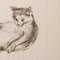 Estella Den Boer, Cat, 1970s, Charcoal Drawing, Image 3