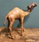 Kamel Skulptur aus gealtertem Leder von Liberty's London 3