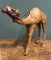 Kamel Skulptur aus gealtertem Leder von Liberty's London 2