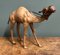 Kamel Skulptur aus gealtertem Leder von Liberty's London 1