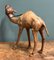 Kamel Skulptur aus gealtertem Leder von Liberty's London 6