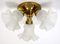 Brass & Glass Ceiling Lamp from Schröder and Co., 1960s 7