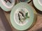 Servicio de mesa francés de porcelana de Limoges pintada a mano, años 50. Juego de 15, Imagen 6