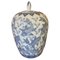 Chinese White and Blue Ceramic Vase, 1920s 1