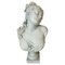 Busto antico da donna in terracotta, metà XIX secolo, Immagine 1