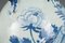 Jarrón chino azul y blanco con decoración de pájaros y flores, siglo XX, Imagen 8