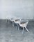 Italienische Esszimmerstühle aus weißem Metall und Gurtband, 1970er, 4 . Set 24