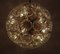 Dandelion Hanging Lamp with Glass Flowers and Brass, 1950s 18