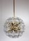Dandelion Hanging Lamp with Glass Flowers and Brass, 1950s 3